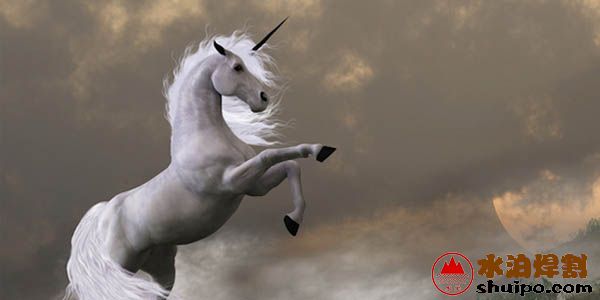 機(jī)器人或自動化企業(yè)將有可能成為行業(yè)的獨角獸 機(jī)器人或自動化企業(yè)將有可能成為行業(yè)的獨角獸